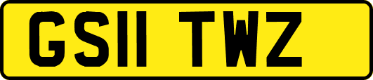 GS11TWZ