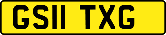 GS11TXG
