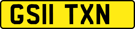 GS11TXN
