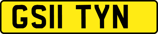 GS11TYN