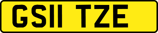 GS11TZE