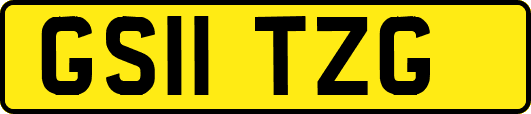 GS11TZG