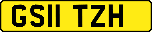 GS11TZH