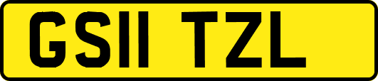 GS11TZL