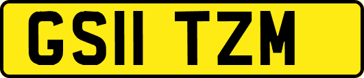 GS11TZM