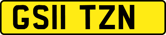 GS11TZN