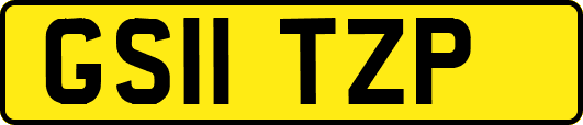 GS11TZP