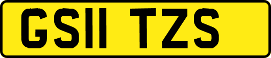 GS11TZS