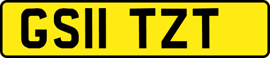GS11TZT