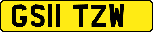 GS11TZW
