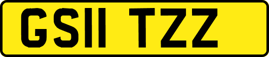 GS11TZZ