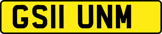 GS11UNM