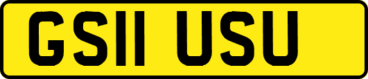 GS11USU