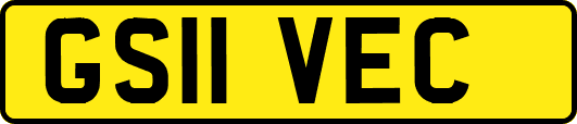 GS11VEC