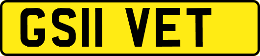 GS11VET
