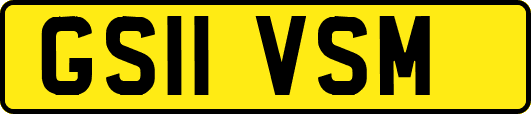 GS11VSM