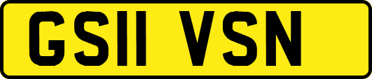 GS11VSN