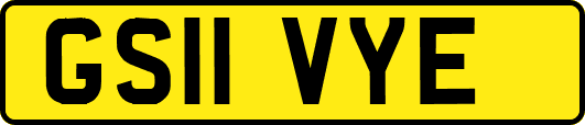GS11VYE