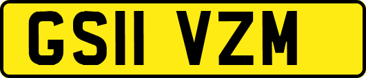 GS11VZM