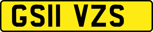 GS11VZS