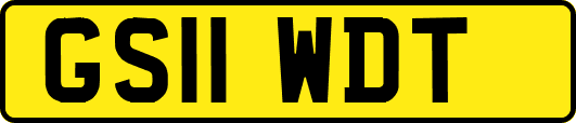 GS11WDT