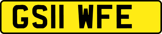 GS11WFE