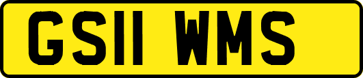 GS11WMS