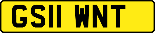 GS11WNT