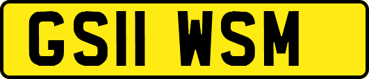 GS11WSM
