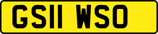 GS11WSO