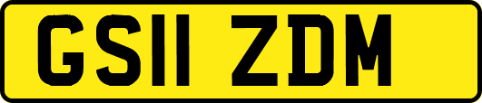 GS11ZDM