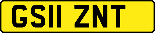 GS11ZNT