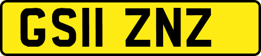 GS11ZNZ