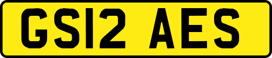 GS12AES