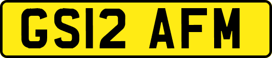 GS12AFM