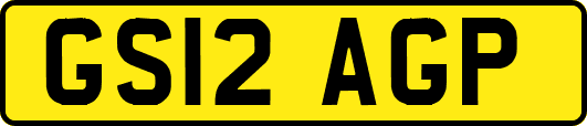GS12AGP