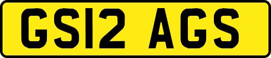 GS12AGS