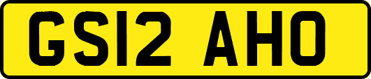 GS12AHO