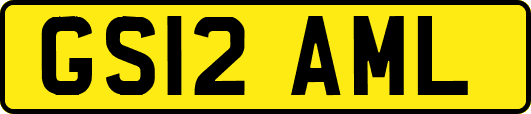GS12AML