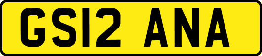 GS12ANA