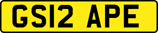 GS12APE