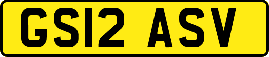 GS12ASV