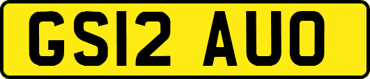 GS12AUO
