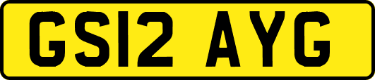 GS12AYG