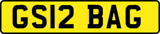 GS12BAG