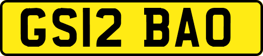 GS12BAO