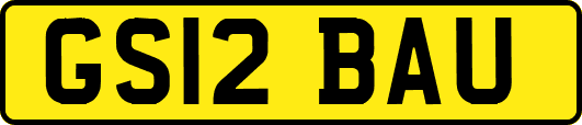 GS12BAU