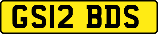 GS12BDS