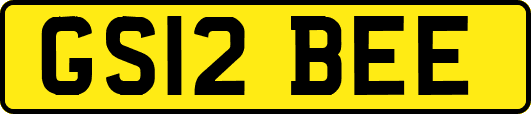 GS12BEE