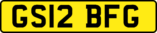 GS12BFG